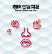 咖啡感官開發