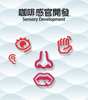 咖啡感官開發