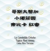 小燭Typica紅蜜